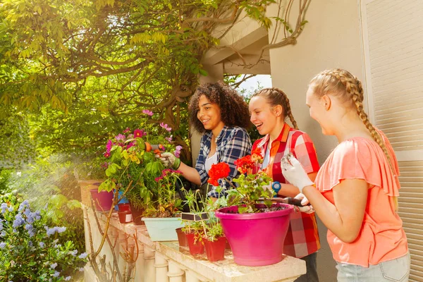 Porträt Von Drei Mädchen Teenageralter Die Garten Arbeiten Blumen Eintopfen — Stockfoto