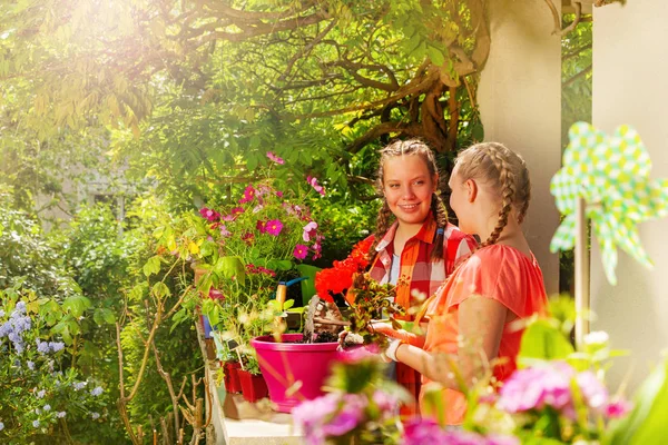 两个美丽的少女的肖像盆栽天竺葵花和制作阳台花园在夏季 — 图库照片