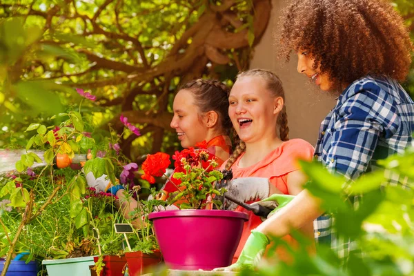 Portrait Trois Amies Heureuses Plantant Des Plantes Dans Jardin — Photo