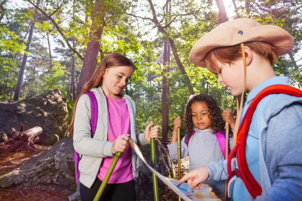 Group of kids in the forest with map looking for orientation directions