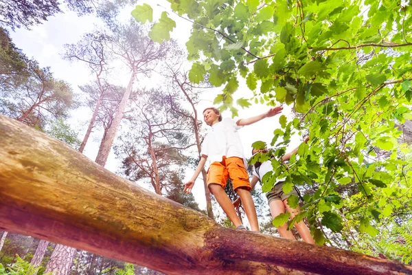 Boy Girl Walking Big Log Forest Summer Activity Games View — Stock Photo, Image