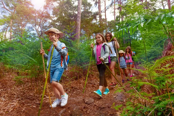 Turistické Aktivity Letních Prázdninách Kempu Partou Malých Chlapců Dívek Procházka — Stock fotografie