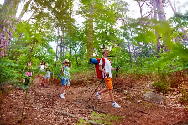 Grupo Crianças Com Mochila Caminham Trilha Caminhadas Floresta Durante Férias — Fotografia de Stock