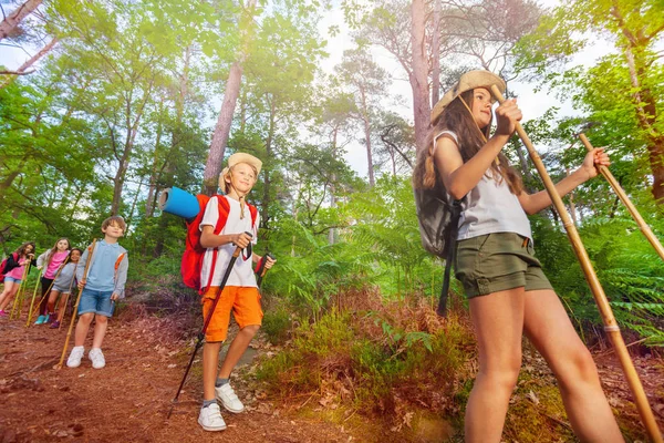 Many Kids Walk Forest Hike Wearing Backpacks Walking Poles Summer — Stock Photo, Image