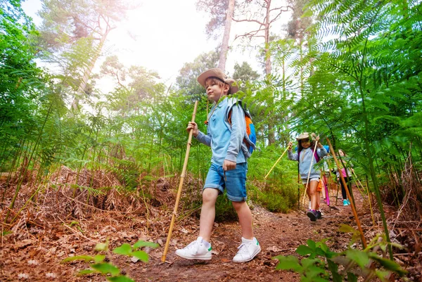 歩道上のフォレストのグループでポール散歩をハイキングとスカウトの帽子の少年 — ストック写真