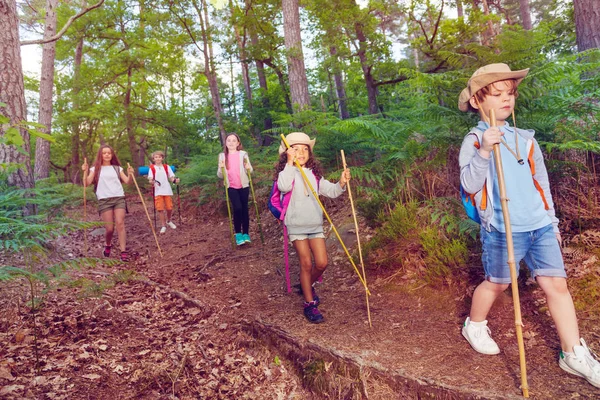 Grupo Amiguinhos Crianças Meninos Meninas Caminham Trilha Caminhadas Atividade Acampamento — Fotografia de Stock