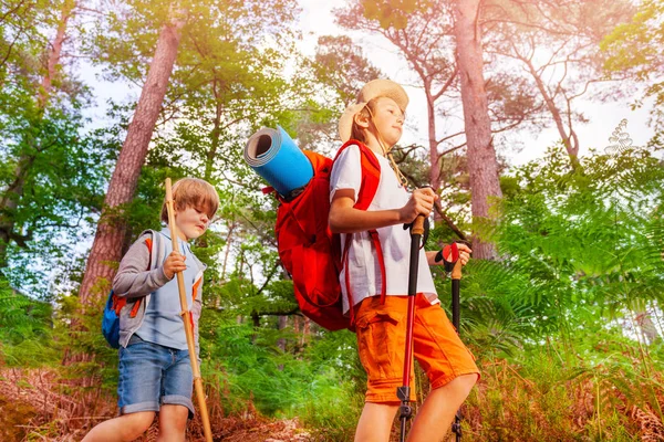 Dwóch Chłopców Plecakami Wycieczce Lesie Chodzenie Letni Dzień — Zdjęcie stockowe