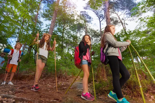 Grupo Crianças Com Postes Caminhada Caminham Trilha Floresta Durante Atividade — Fotografia de Stock