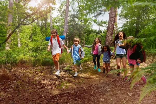 Grupo Crianças Caminhando Floresta Com Mochilas Mãos Dadas — Fotografia de Stock