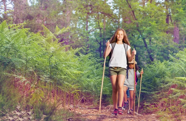 Portrait Girl Leading Group Kids Hiking Trail Poles Walking Forest — Stock Photo, Image