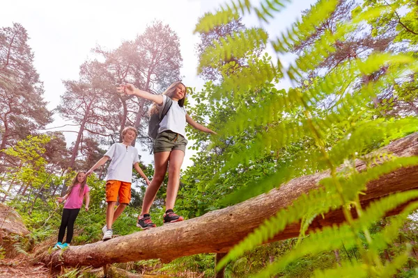 Kluk Dvě Dívky Chodit Kládě Lese Vyvažování Rukama Jako Letní — Stock fotografie