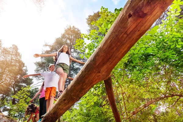 Gruppo Bambini Piedi Sopra Alto Log Nella Foresta Trovare Equilibrio — Foto Stock