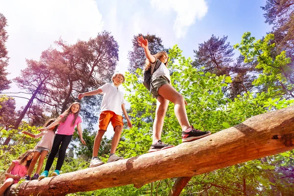 Gruppe Von Kindern Spaziert Nacheinander Über Großen Baumstamm Wald Während — Stockfoto
