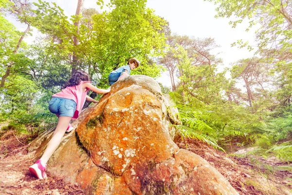 Two Small Kids Climb Play Rocks Forest Sunny Summer Day — Stock Photo, Image