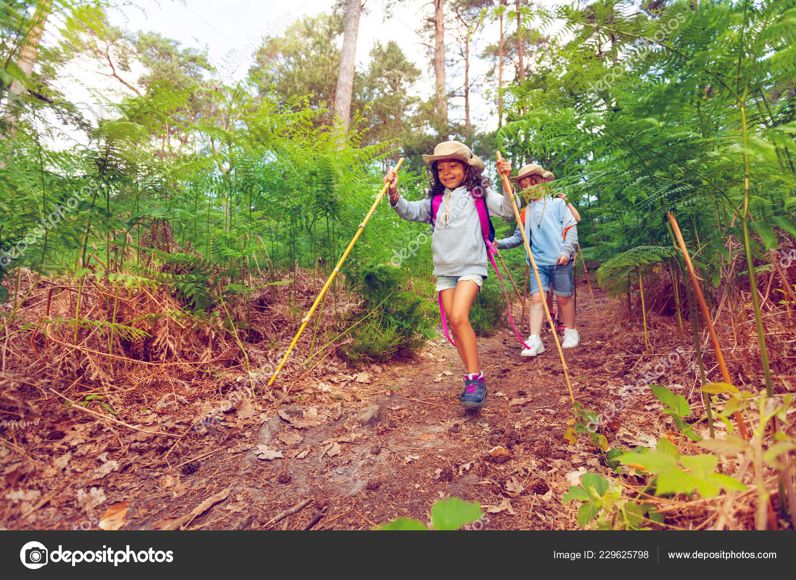 Little Girl Boy Forest Hiking Walking Poles Sticks Summer Camping Stock Photo Image By C Serrnovik 229625798