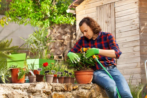 Man Wearing Gardening Gloves Watering Potted Spring Flowers Using Hosepipe — Stock Photo, Image