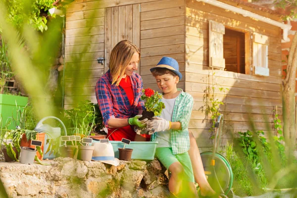 Portrait Young Woman Learning Her Son Pot Plants Container Backyard — Stock Photo, Image