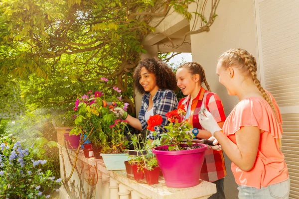 Portrait Trois Adolescentes Travaillant Dans Jardin Empotage Arrosage Fleurs Soleil — Photo