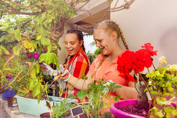 Portrait Deux Adolescentes Plantant Des Fleurs Sur Terrasse Été — Photo