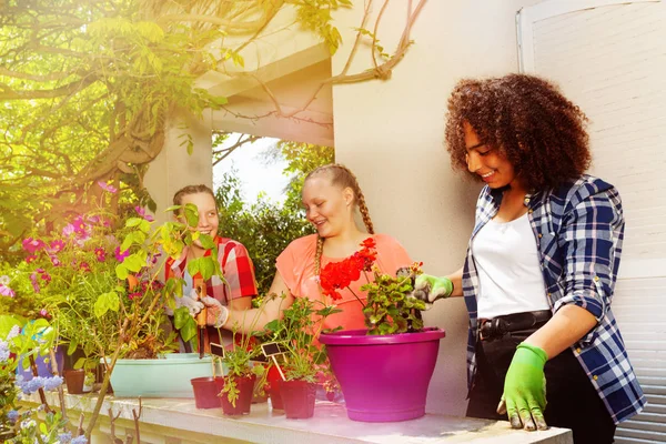 Portrait Amis Heureux Trois Adolescentes Planter Des Fleurs Sur Terrasse — Photo