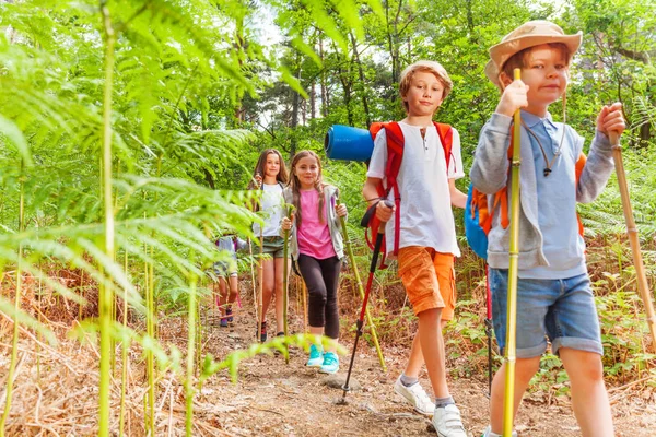 一群学龄儿童漫步在森林蕨类植物在徒步旅行夏季露营活动 — 图库照片
