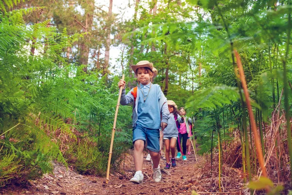 Vacanze Estive Attività Escursionistiche Gruppo Bambini Camminano Nella Foresta Ragazzi — Foto Stock