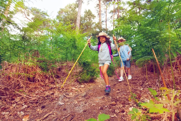 Menina Menino Floresta Caminhadas Andando Com Varas Pólos Atividade Acampamento — Fotografia de Stock