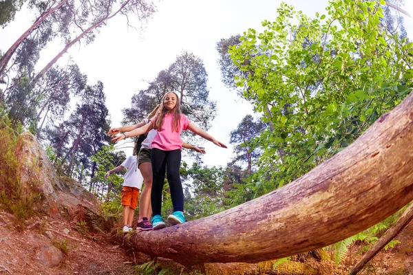 Grupo Crianças Caminhando Sobre Longo Tronco Madeira Grande Floresta Equilibrando — Fotografia de Stock
