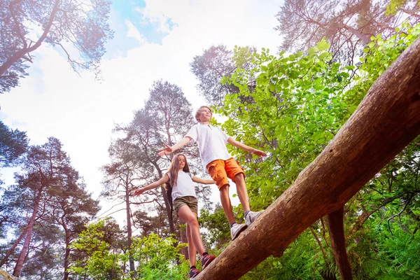 Vista Baixo Menino Menina Andando Sobre Grande Tronco Alto Equilíbrio — Fotografia de Stock