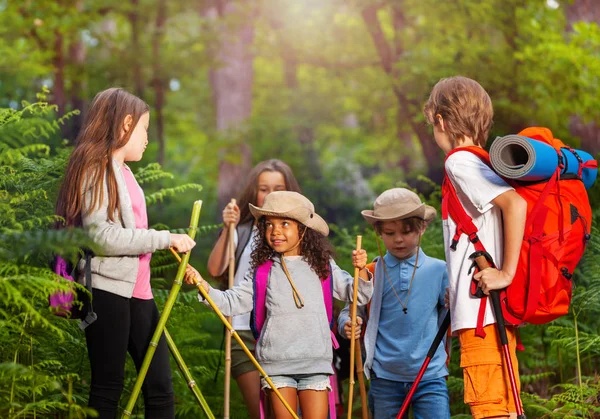 Група Маленьких Дітей Пішохідній Стежці Розмовляє Один Одним Клас Лісі — стокове фото