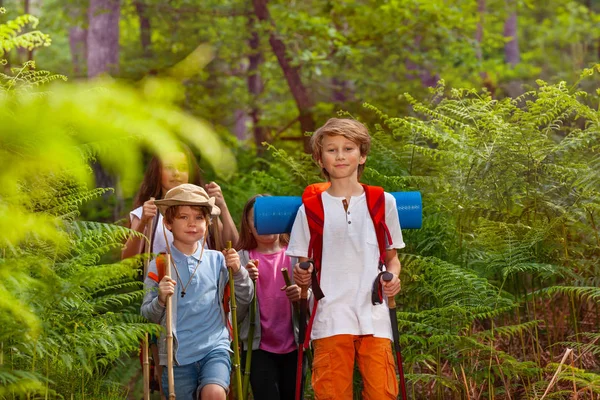 Grupp Barn Promenad Vandringsleden Vandring Med Pinnar Och Ryggsäckar Camping — Stockfoto
