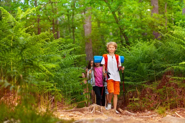 儿童男孩和女孩在森林中的蕨类植物在夏季学校漫步步行小径组 — 图库照片
