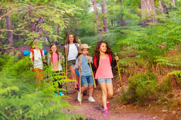 Group of kids walking in the forest on school summer activity one after another with backpacks