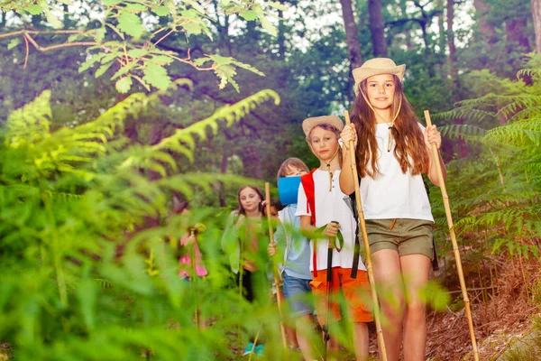 Bambini Ragazzi Ragazze Amici Compagni Classe Che Camminano Nella Foresta — Foto Stock