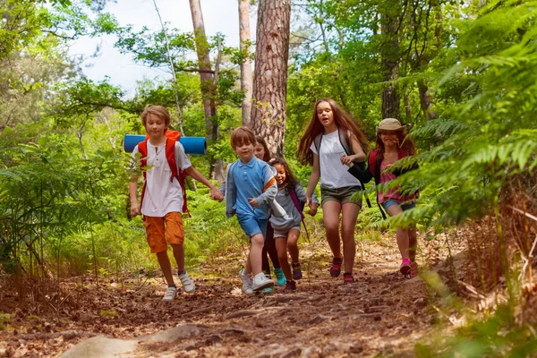 一群孩子在学校夏天的旅行中牵着手微笑着奔跑着森林小径 — 图库照片