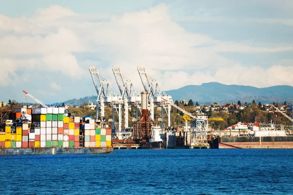 Kräne Und Containerstapel Terminal Des Hafens — Stockfoto