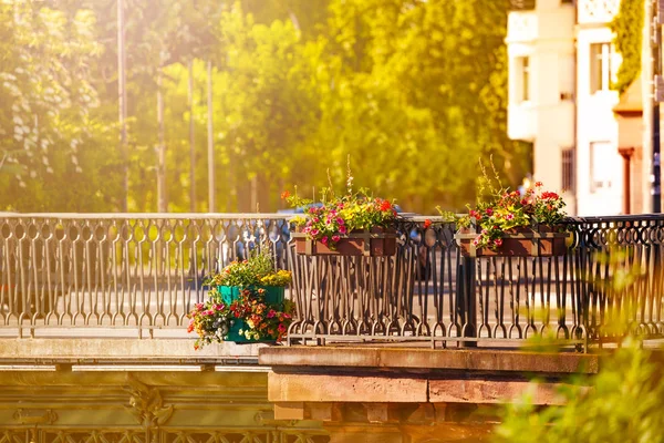 Vackra Vårblommor Krukor Som Hänger Bron Inneslutningen Sjuk Floden Strasbourg — Stockfoto