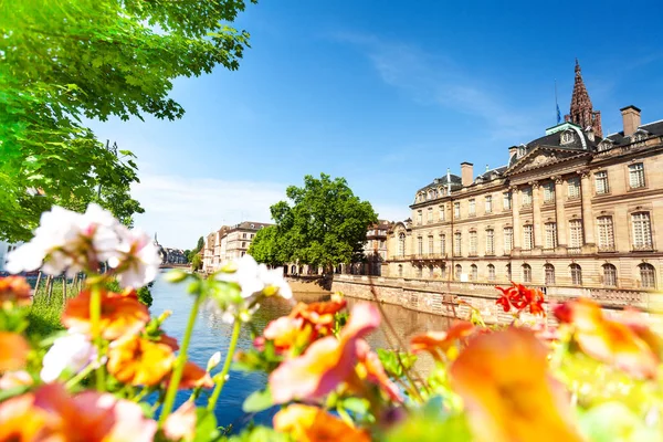Margem Rio Ill Com Palácio Rohan Primavera Estrasburgo França — Fotografia de Stock