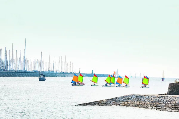 Groep Van Wind Zeilen Marina Haven Van Rochelle — Stockfoto