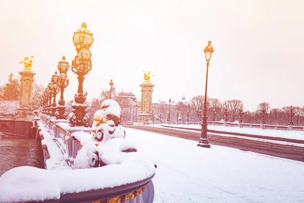 Ansicht Von Laternen Und Skulpturen Des Pont Alexandre Iii Winter — Stockfoto