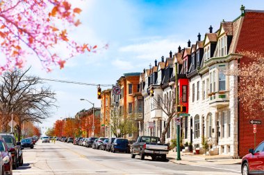 Bahar, Maryland, ABD Baltimore sokakların doğal görünümü