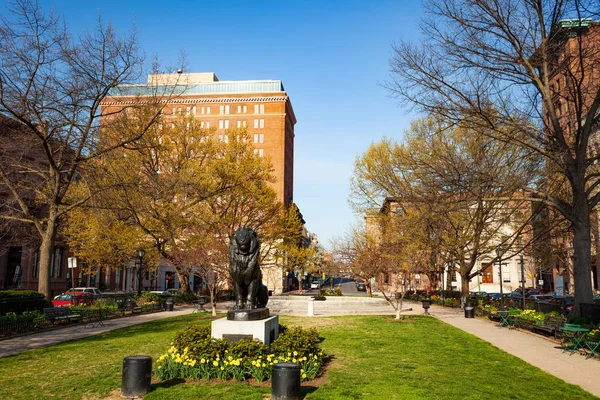 Sittande Lejon Bronsskulptur Mount Vernon Place Baltimore Usa — Stockfoto
