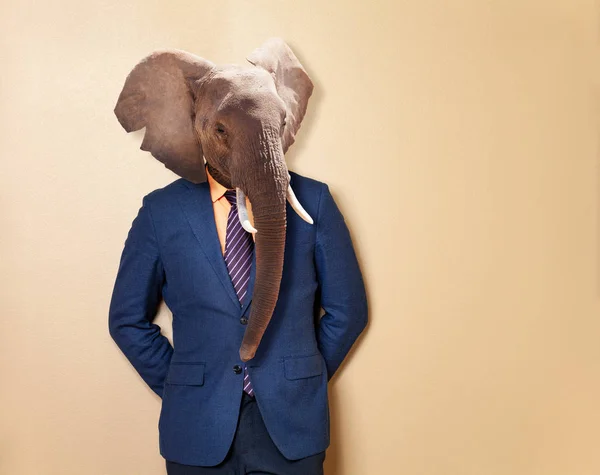 Elefante Maschio Abito Ufficio Camicia Consulente Uomo Affari Tecnica Mista — Foto Stock