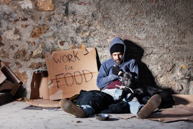 Köpekle sadaka kase yanında oturan işsiz adam