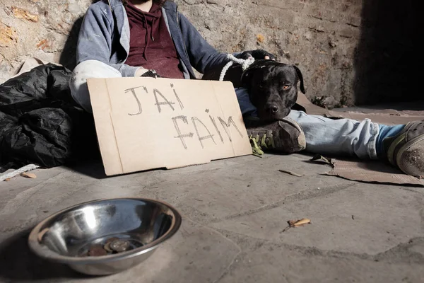 乞食と施しの隣に座っている犬は路上ボウルします。 — ストック写真