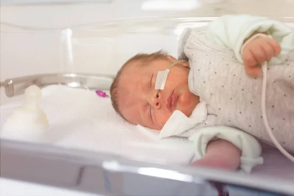 Recém Nascido Prematuro Adormecido Unidade Uti Hospital — Fotografia de Stock