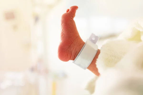 産科病棟からのラベルを持つ新生児の足のプロフィールビュー — ストック写真