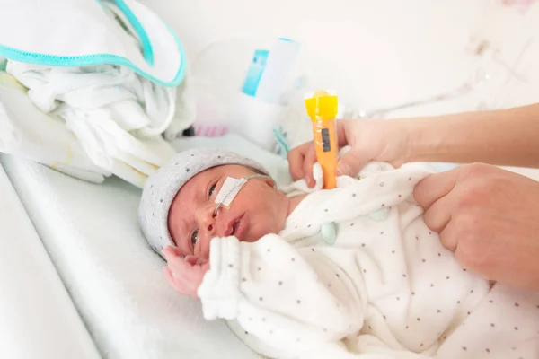 病院のIcuで温度計と母親の手を持つ少し早産の新生児の男の子 — ストック写真