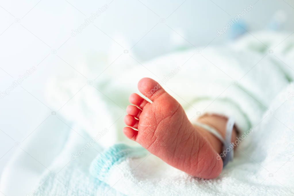 Feet of newborn child with label from maternity ward