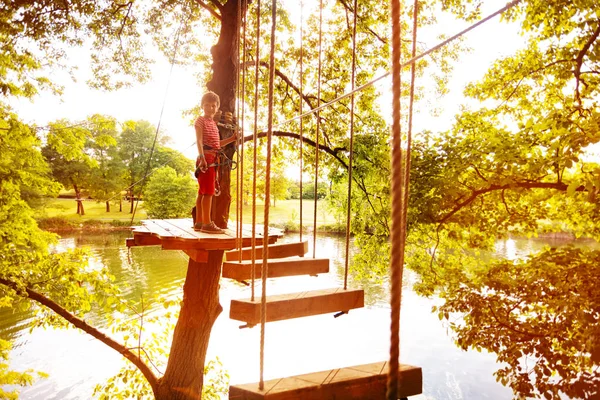 Joyeux Garçon Debout Sur Plate Forme Arbre Après Pont Corde — Photo